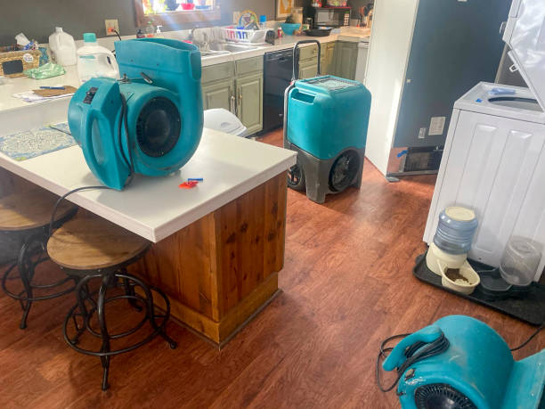 Best Mold removal after water damage  in Winona, MN