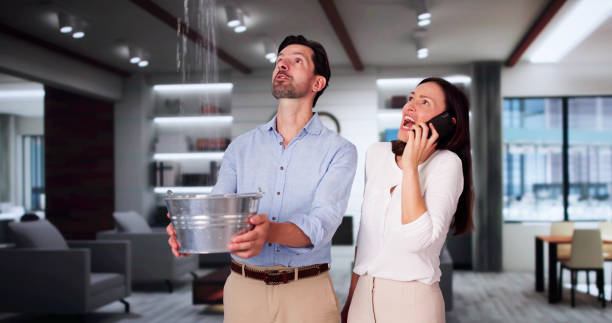 Best Water damage restoration specialists  in Winona, MN