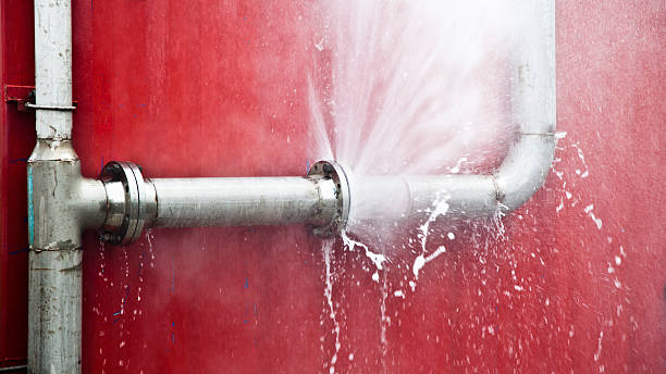 Best Ceiling water damage repair  in Winona, MN